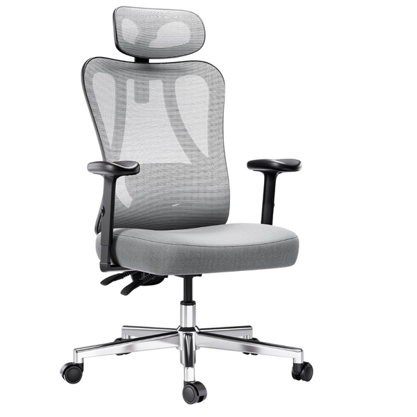 Hbada P3 Ergonnomic Office Chair With 2D Adjustable Lumbar Support