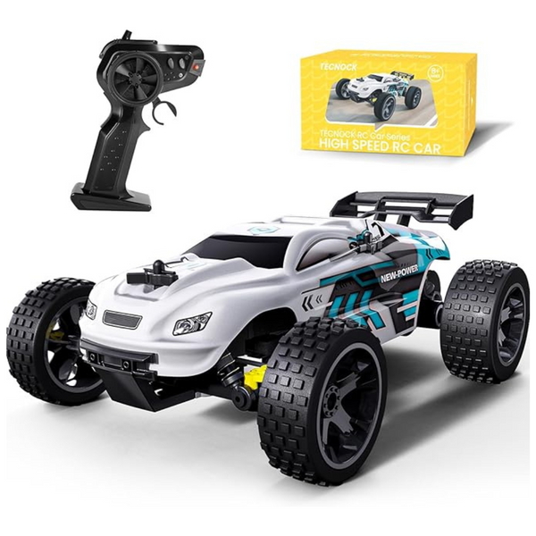 Tecnock 1:18 Scale 2WD Offroad Buggy 20 KM/H, 2.4GHz Racing Car