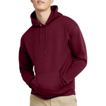 Hanes Men's EcoSmart Fleece Hoodie