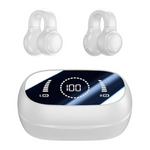 Dual Connect Bluetooth Earbuds With Charging Case (2024 Version)