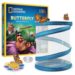 National Geographic Butterfly Growing Kit