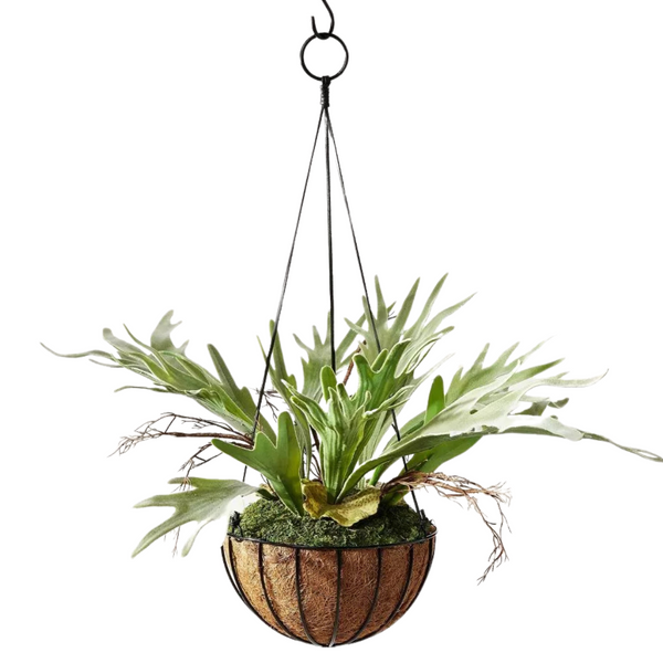 Hilton Carter 13" Artificial Hanging Staghorn Plant