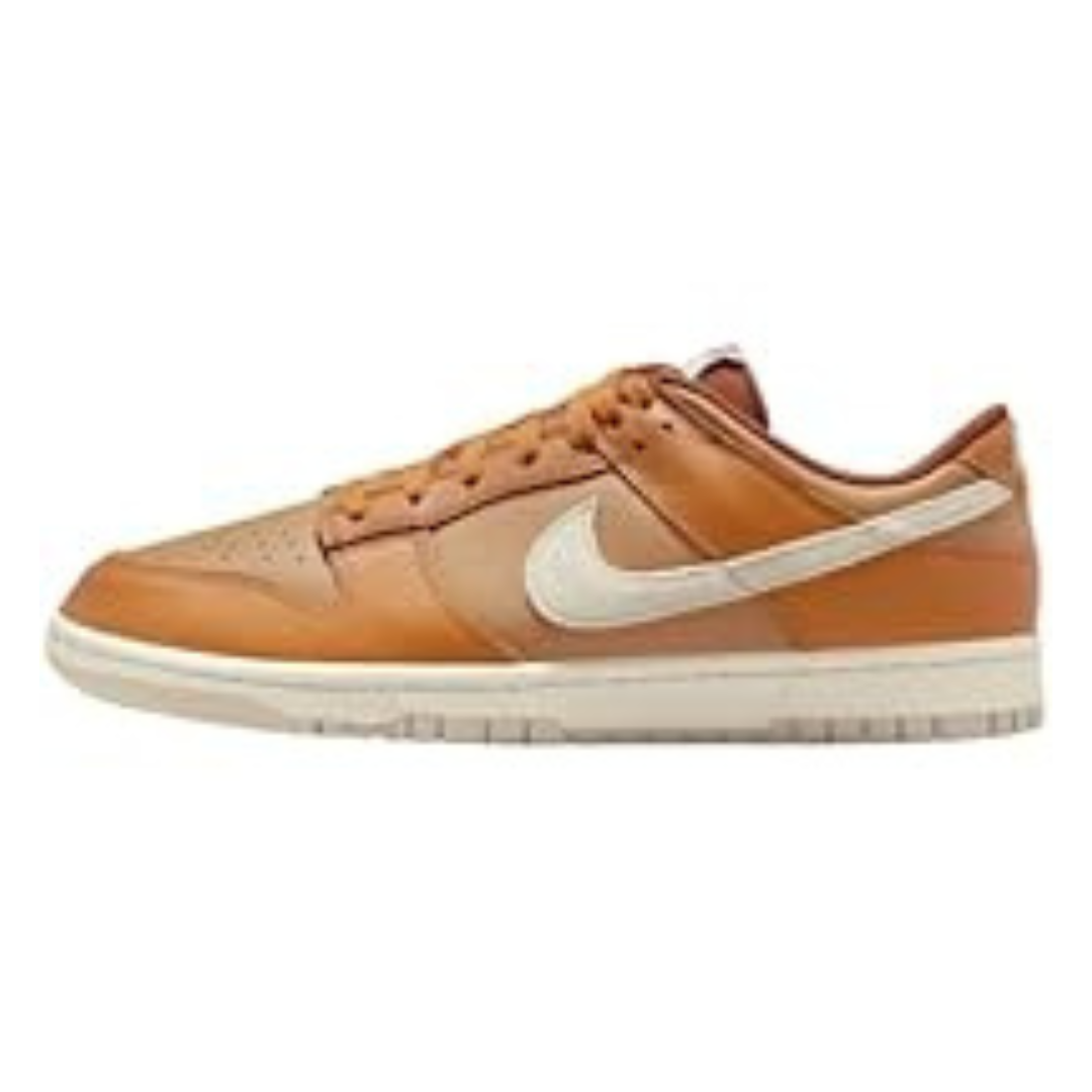 Nike Dunk Low Retro SE Men's Shoes