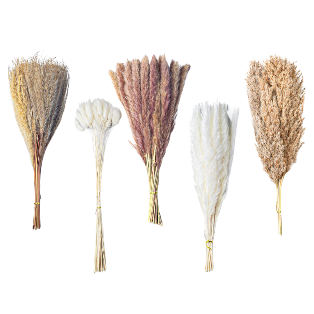 110-Piece Dried 17.5" Natural Pampas Grass Bouquet