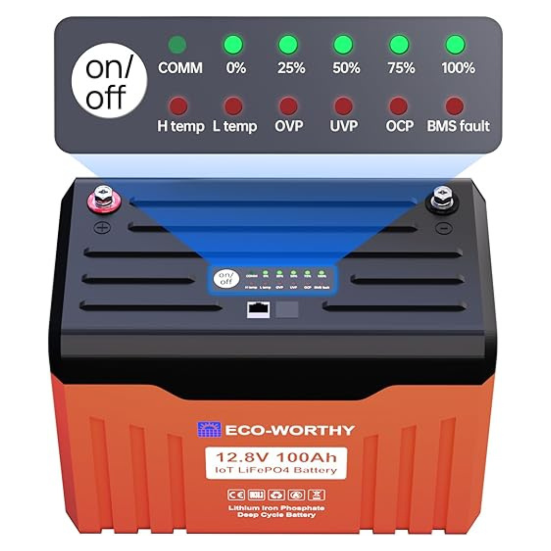 ECO-WORTHY 12V 100AH? LiFePO4 Lithium Battery With Battery Status Display