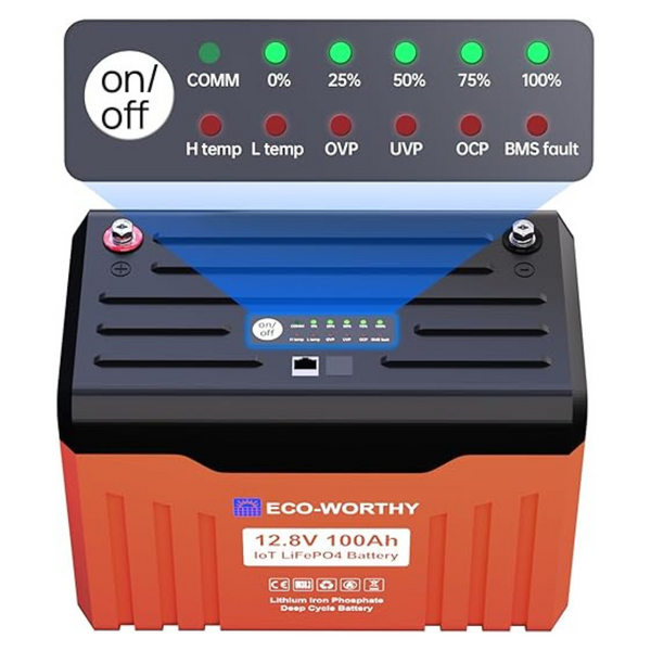 ECO-WORTHY 12V 100AH? LiFePO4 Lithium Battery With Battery Status Display