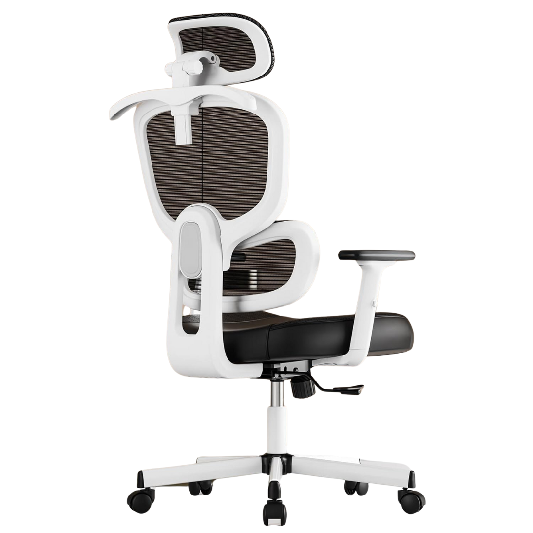 Ergonomic High Back Desk Chair With Lumbar Support