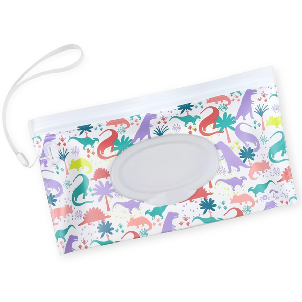 Itzy Ritzy Travel Wipes Case