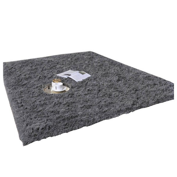 Ophanie Upgrade 4x6 Fluffy Shaggy Soft Area Rug