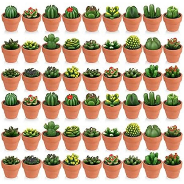 60-Pack Succulent Candles