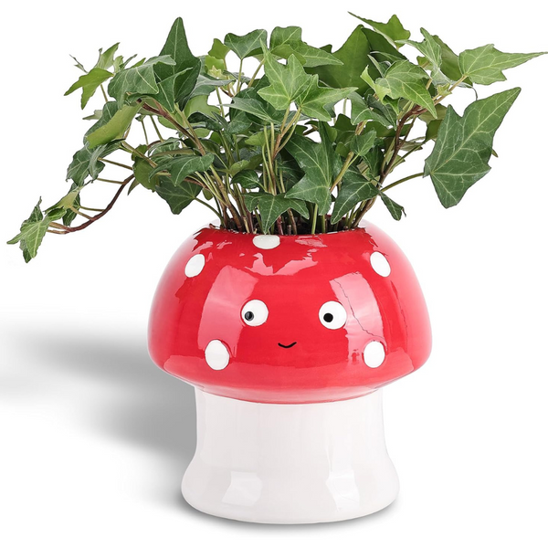 Fungi Fun Cute Ceramic Mushroom Planter Pot