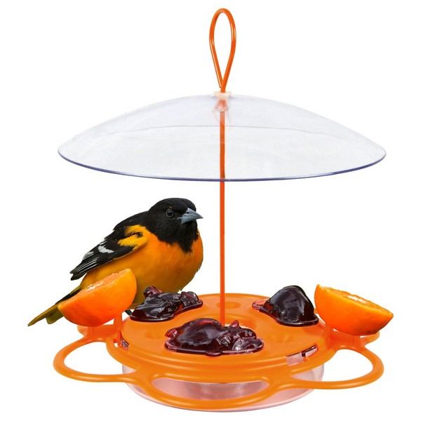 Nature's Way OFP1 All-In-One Oriole Buffet Bird Feeder