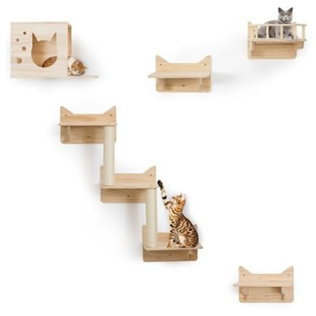 Set Of 5 Pine Cat Wall Frame For Climbing