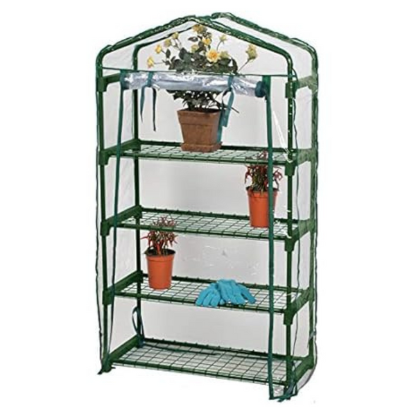 Bloom Garden 63516 Small Greenhouse