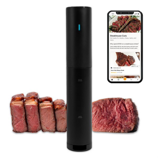 800W Anova Culinary Sous Vide Precision Cooker Mini Lite (Black)