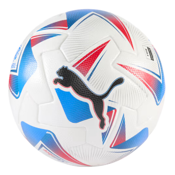 PUMA Cumbre Conmebol Copa America FIFA Quality Soccer Ball