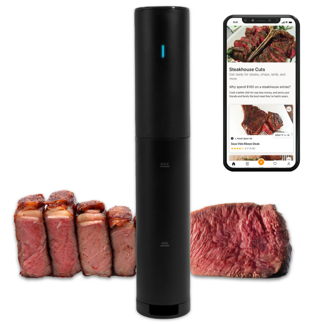 800W Anova Culinary Sous Vide Precision Cooker Mini Lite (Black)