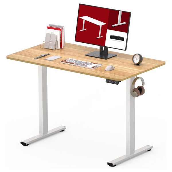 Sanodesk 40"x24" Height Adjustable Electric Standing Desk