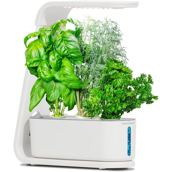 AeroGarden Sprout with Gourmet Herbs Seed Pod Kit