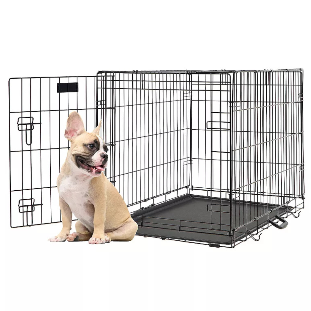 Friends Forever Medium Single Door Folding Wire Dog Crate