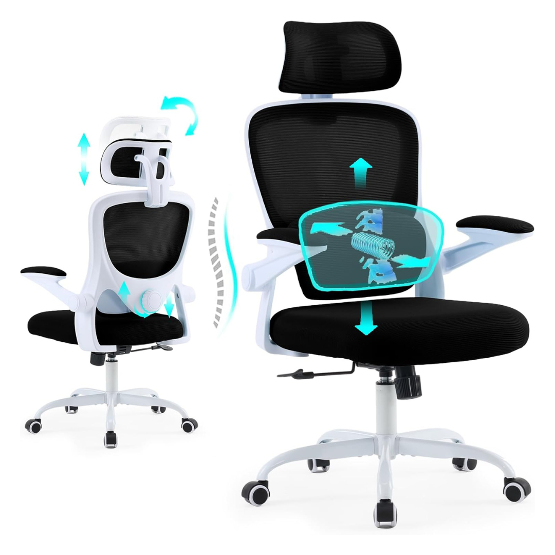 Estevo Ergonomic Office Chair With Auto Lumbar Support