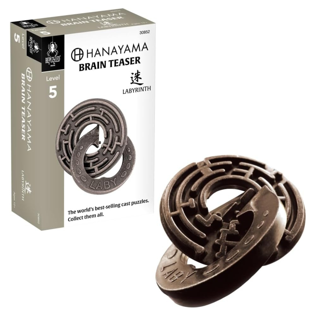 BePuzzled Mensa Level 5 Labyrinth Hanayama Metal Puzzle