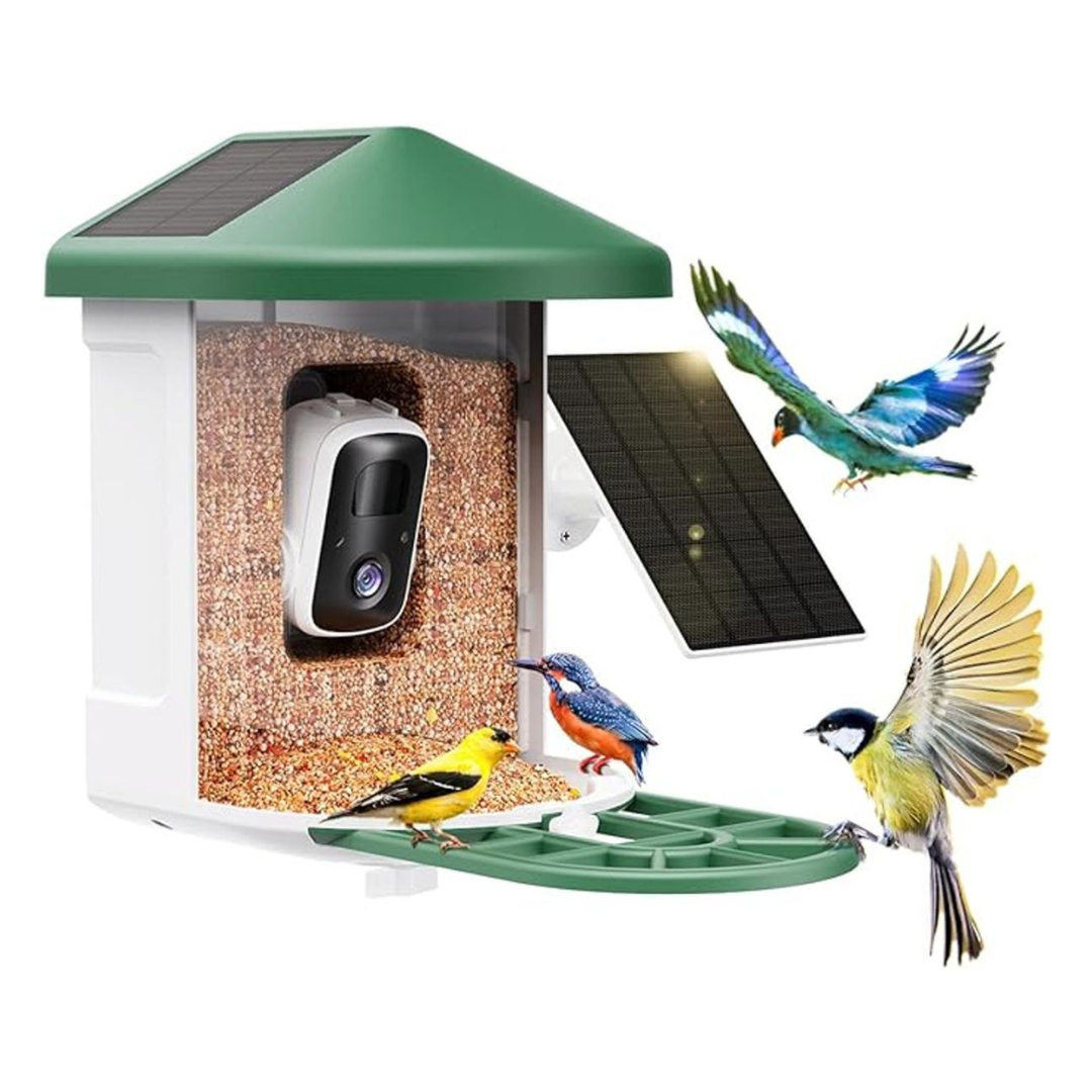 Smart Bird Feeder Camera With AI Identify Bird Species & Dual Solar Panel