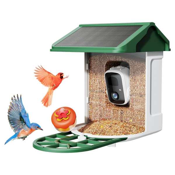 Bird Feeder Camera With Smart AI identifies Bird Species