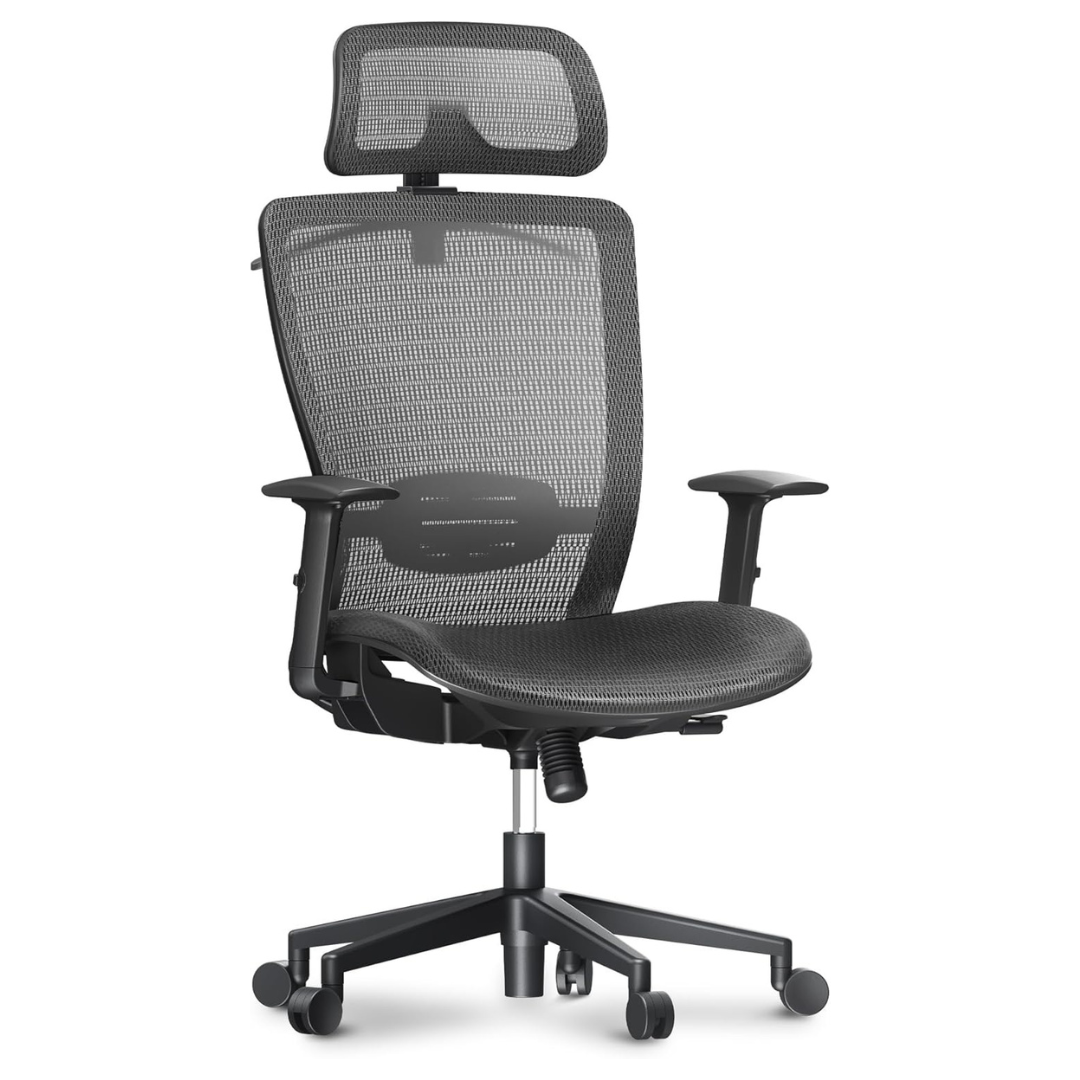 Flexispot Ergonomic High Back Mesh Heavy Duty Office Desk Chairs