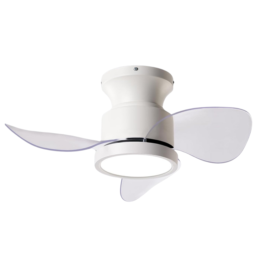 Roomratv 22" Quiet Ceiling Fan With 3 Color Temperature Lights