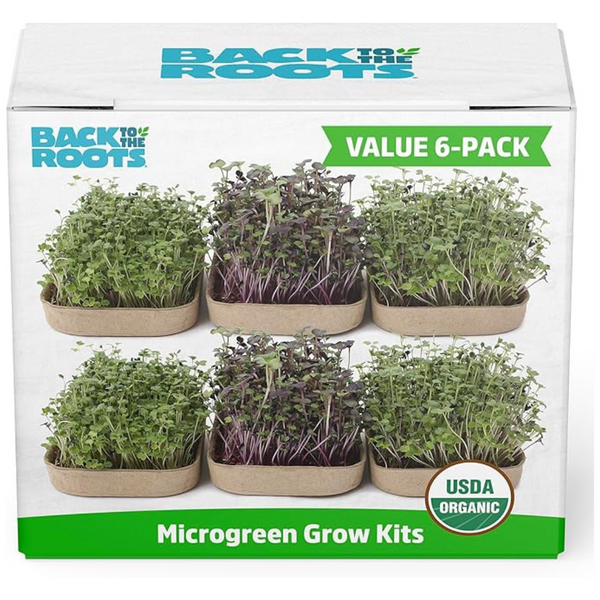 6-Pack Back To The Roots DIY Microgreen Grow Kit