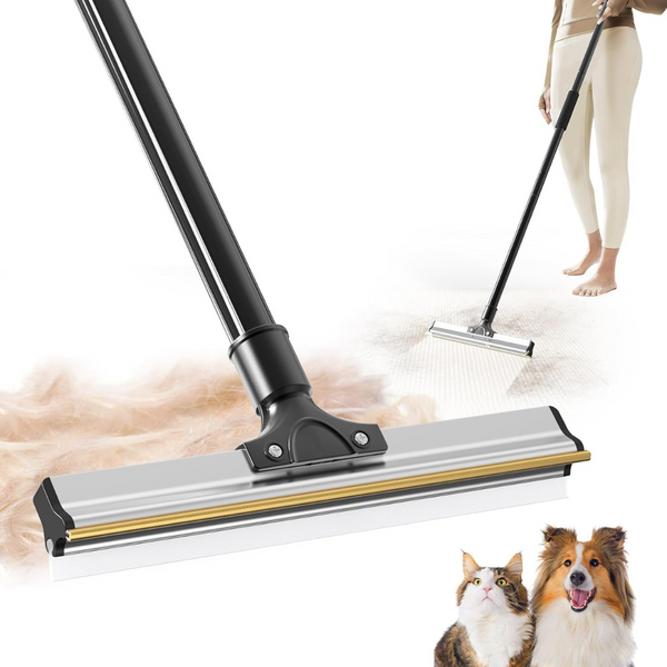 2 in 1 Updated Carpet Brush with Long Handle