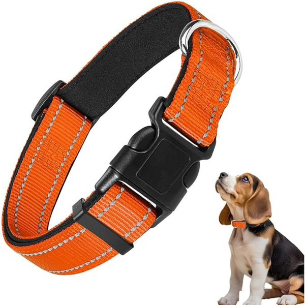 Durable and Comfortable Adjustable Nylon Reflective Dog Collar