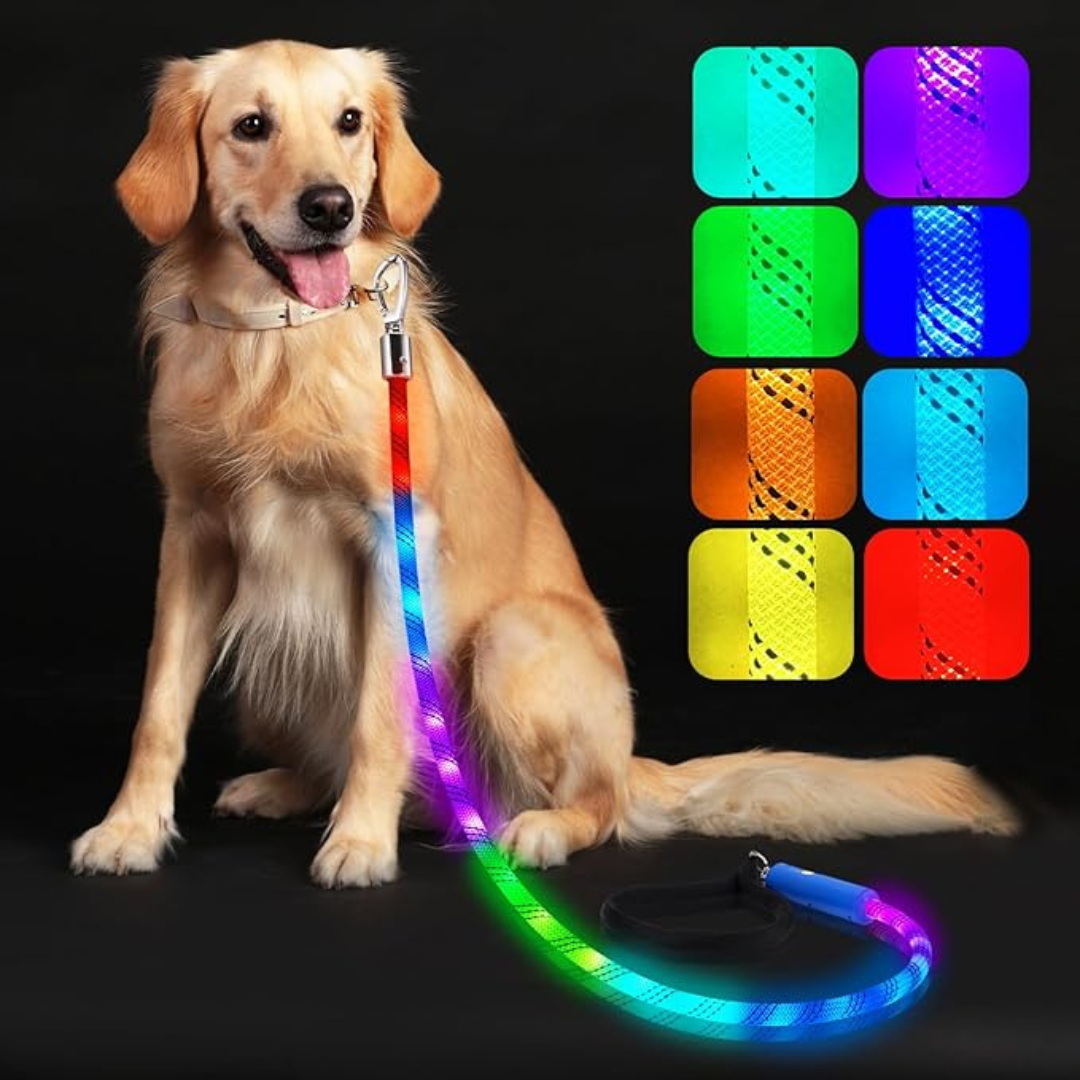 4 ft 13 Lighting Modes Rechargeable LED Light Up Dog Leash