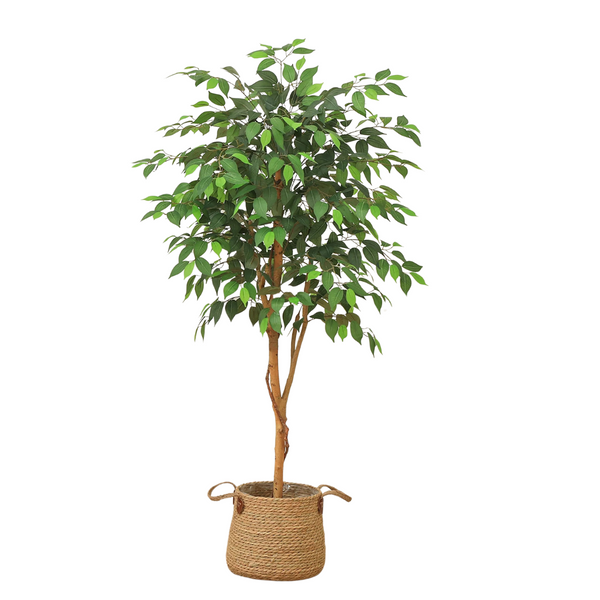 DR.Planzen 5ft Artificial Ficus Tree