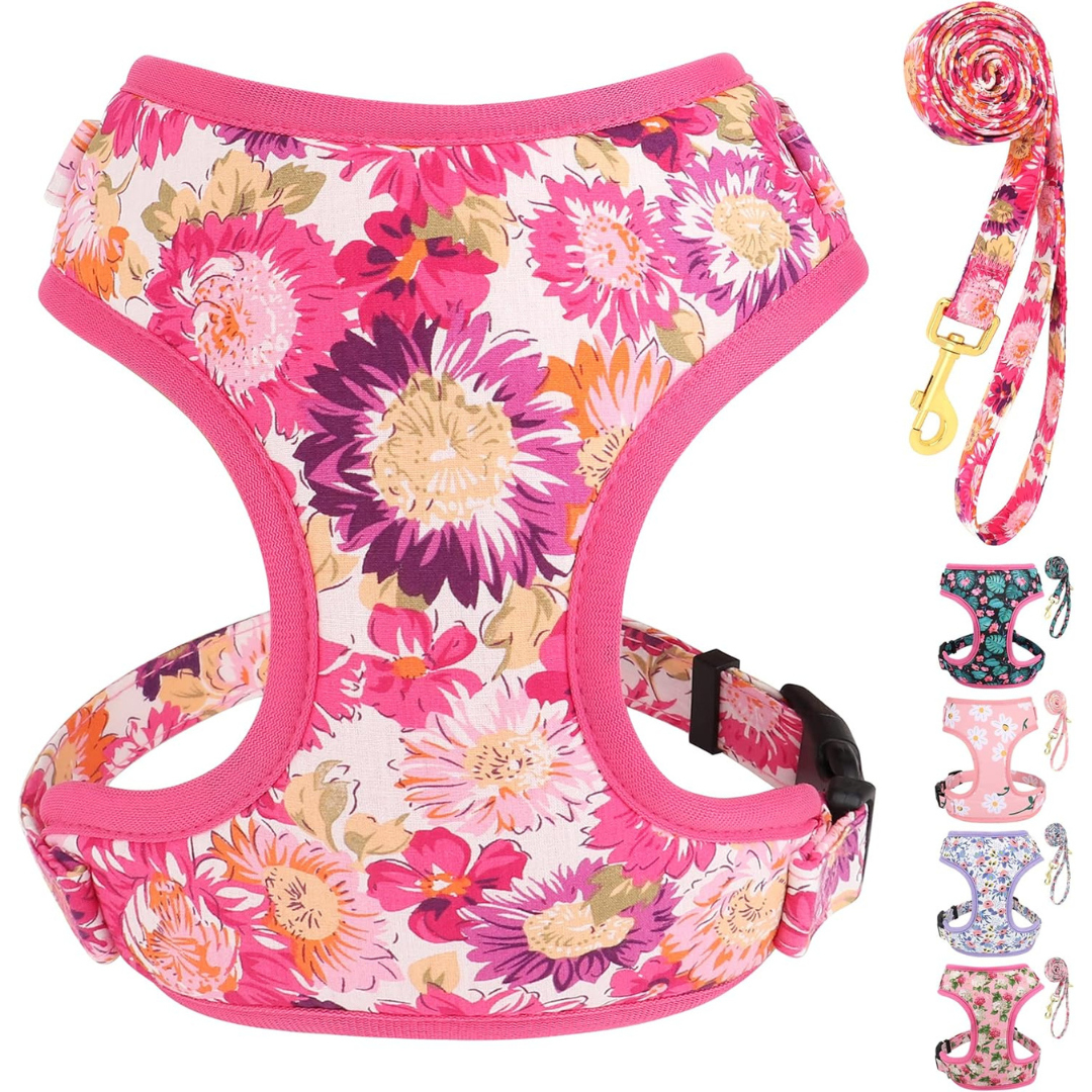 Cute Floral Pattern Girl Dog Harness and Leash Set