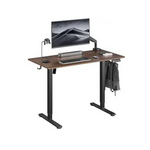 Electric Standing Desk