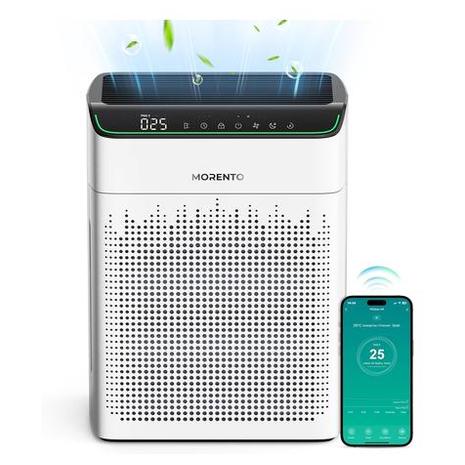 Large Room Air Purifier