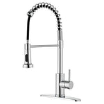 Pull-Down Kitchen Faucet