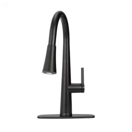 Allen + Roth Bryton Pull-Down Kitchen Faucet With Sprayer