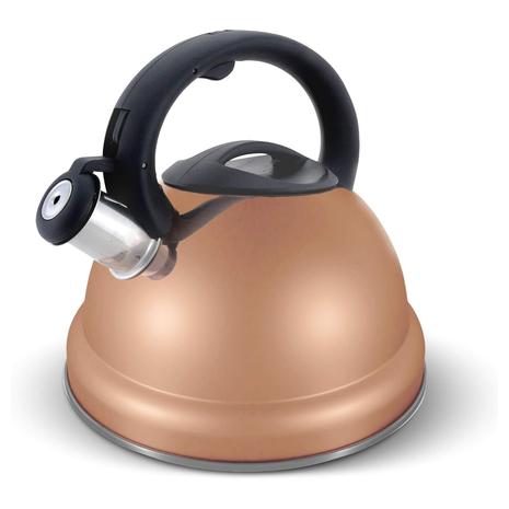 Whistling Tea Kettle Stainless Steel Tea Pot