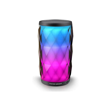 Portable Bluetooth Speaker