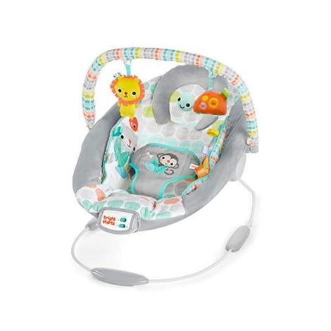 Bright Starts Cradling Bouncer Seat with Soothing Vibration & Melodies