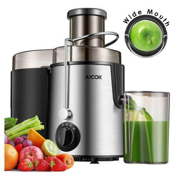 Stainless steel juicer