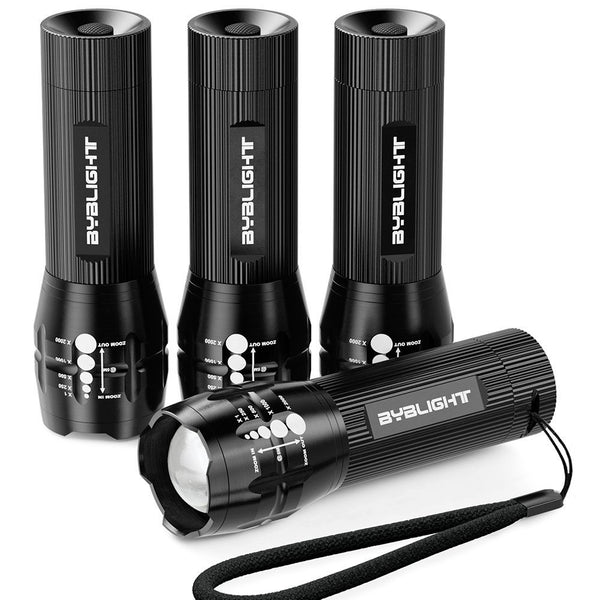 Pack of 4 LED flashlights