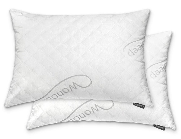 2 pk Queen Size Memory Foam Pillow