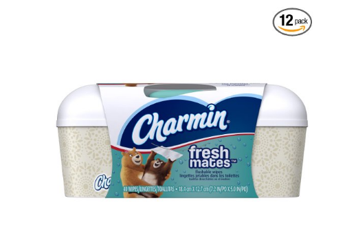 Pack of 12 Charmin Freshmates Flushable Wet Wipes