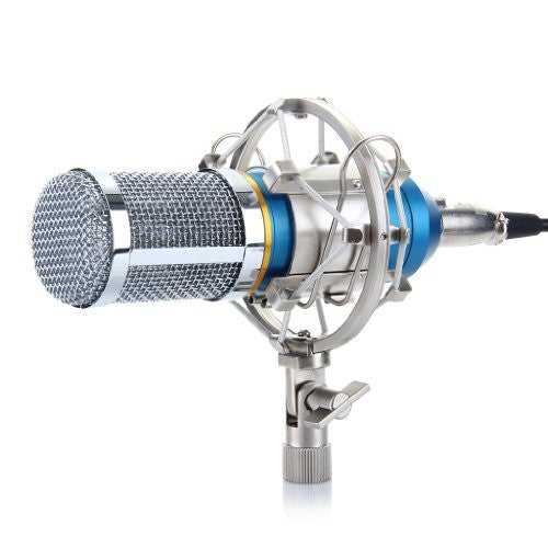 Studio Recording Microphone and Shock Mount Holder