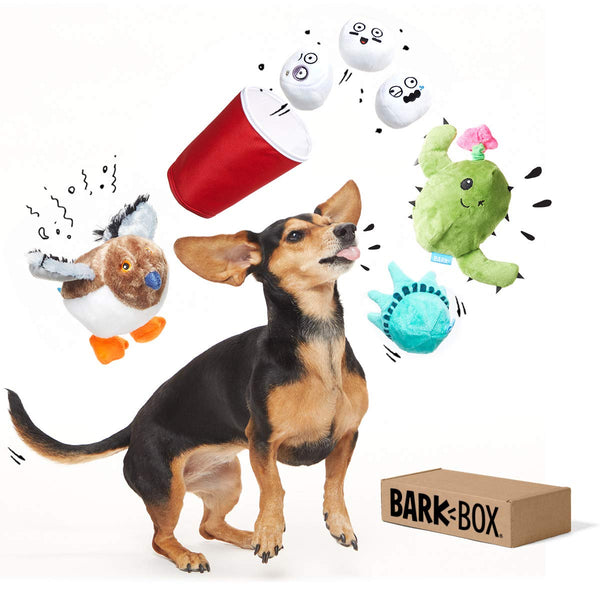 Save 30% on a Best of BarkBox Toy Bundle on National Pet Day!