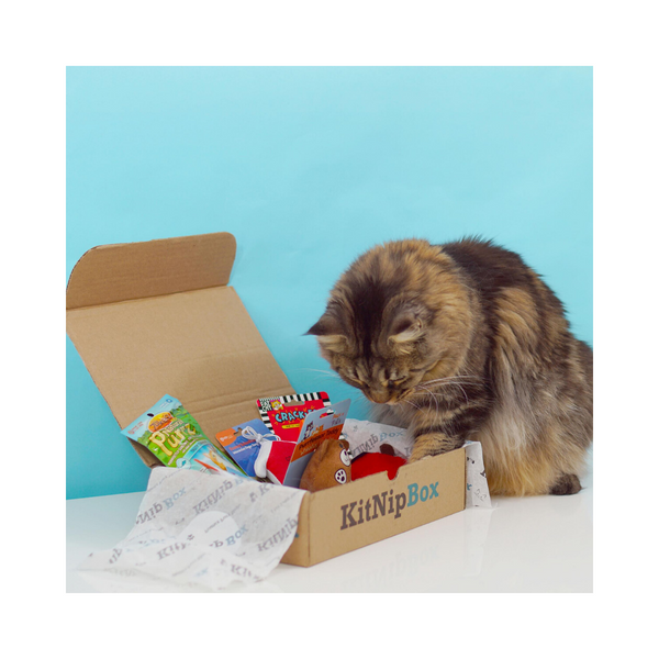 KitNipBox - Caja de juguetes para gatos con suscripción mensual para gatos